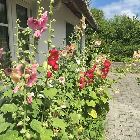 Badehotellet Havgaarden 3* Vejby