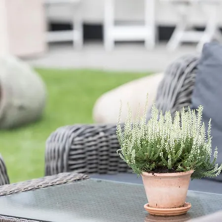 Badehotellet Havgaarden ホテル Vejby