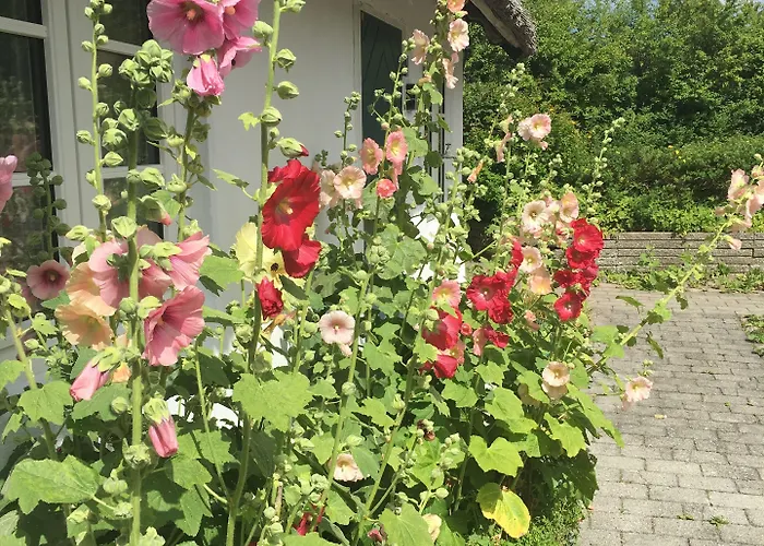Badehotellet Havgaarden 3* Vejby